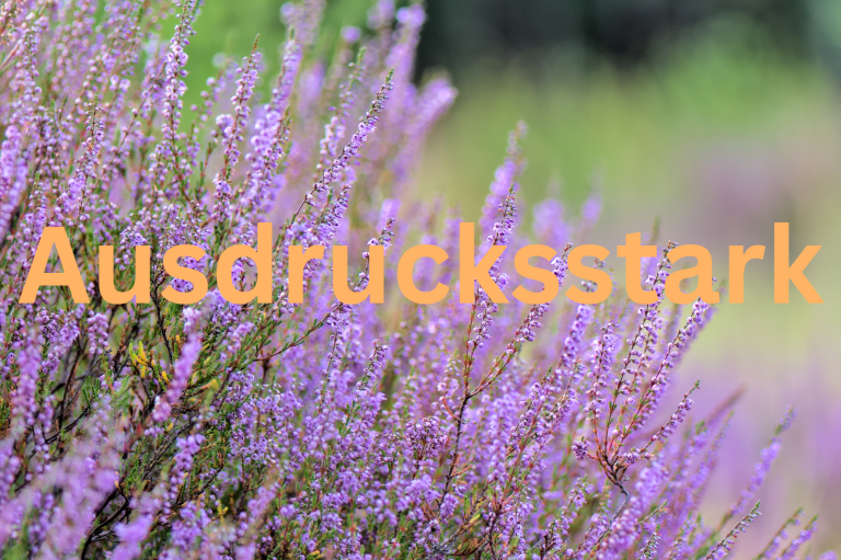 Heidepflanze im Hintergrund. Im Vordergrund orangefarbene Schrift mit dem Titel "Ausdrucksstark"