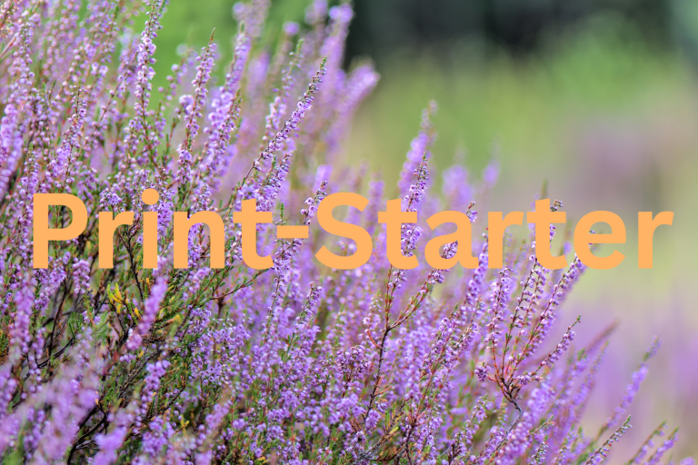 Heidepflanze im Hintergrund. Im Vordergrund orangefarbene Schrift mit dem Titel "Print-Starter"