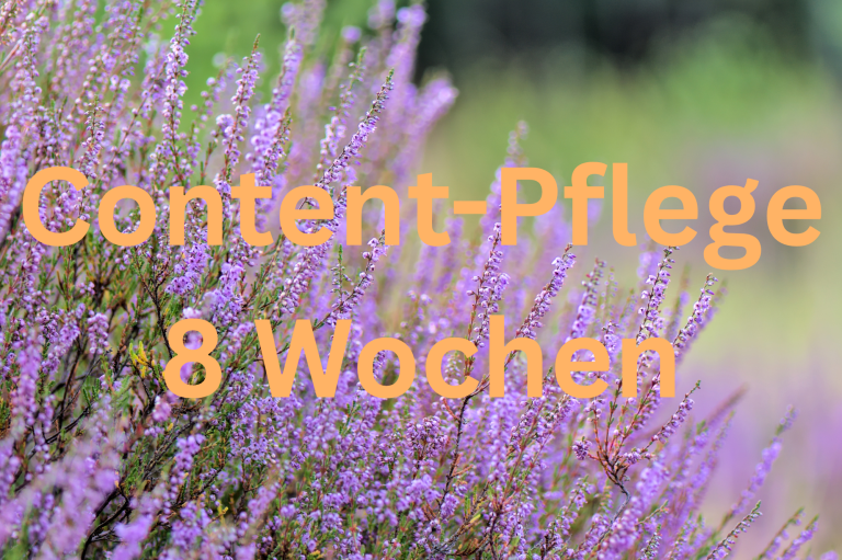 Heidepflanze im Hintergrund. Im Vordergrund orangefarbene Schrift mit dem Titel "Content-Pflege 8 Wochen"