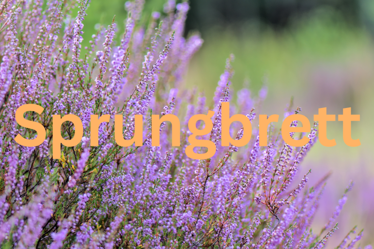 Heidepflanze im Hintergrund. Im Vordergrund orangefarbene Schrift mit dem Titel "Sprungbrett"