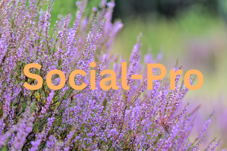 Heidepflanze im Hintergrund. Im Vordergrund orangefarbene Schrift mit dem Titel "Social Pro"
