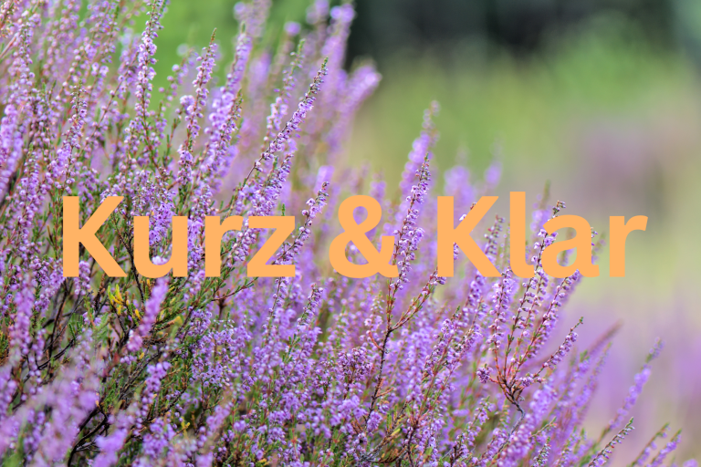 Heidepflanze im Hintergrund. Im Vordergrund orangefarbene Schrift mit dem Titel "Kurz und Klar"