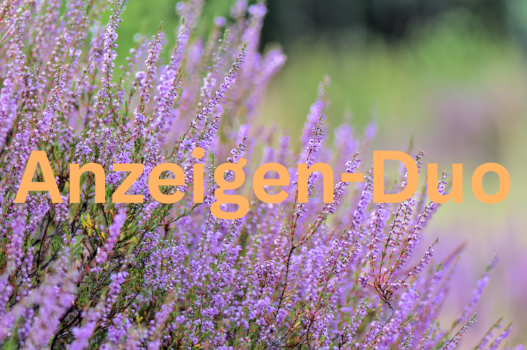 Heidepflanze im Hintergrund. Im Vordergrund orangefarbene Schrift mit dem Titel "Anzeigen-Duo"